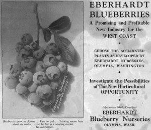 Eberhardt Blueberries sales flyer