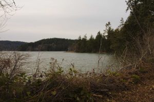 Triple Creek Farm Conservation Easement on Eld Inlet. Photo by Capitol Land Trust.