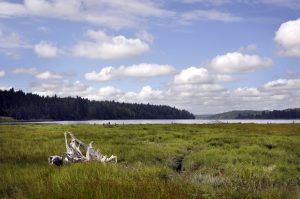 Twin Rivers Ranch Preserve on Oakland Bay in Mason County. Photo by Bonnie Liberty.