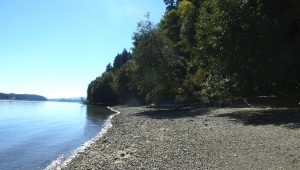 Beach at Schmidt Conservation Easement.