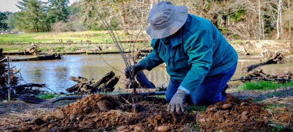 Land Steward at Bayshore Preserve